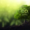 Diminuzione CO2