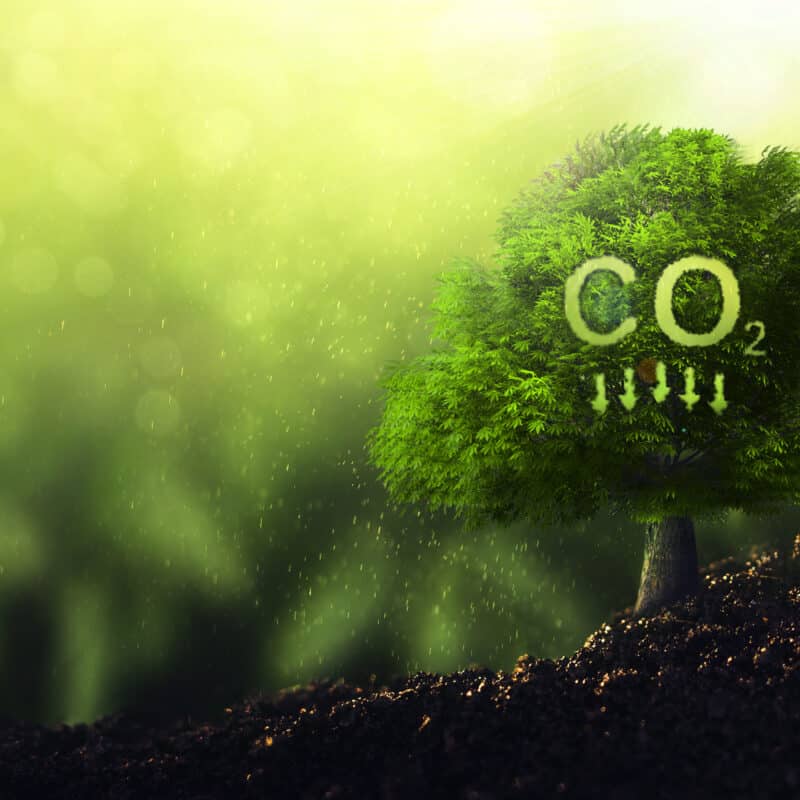 Diminuzione CO2